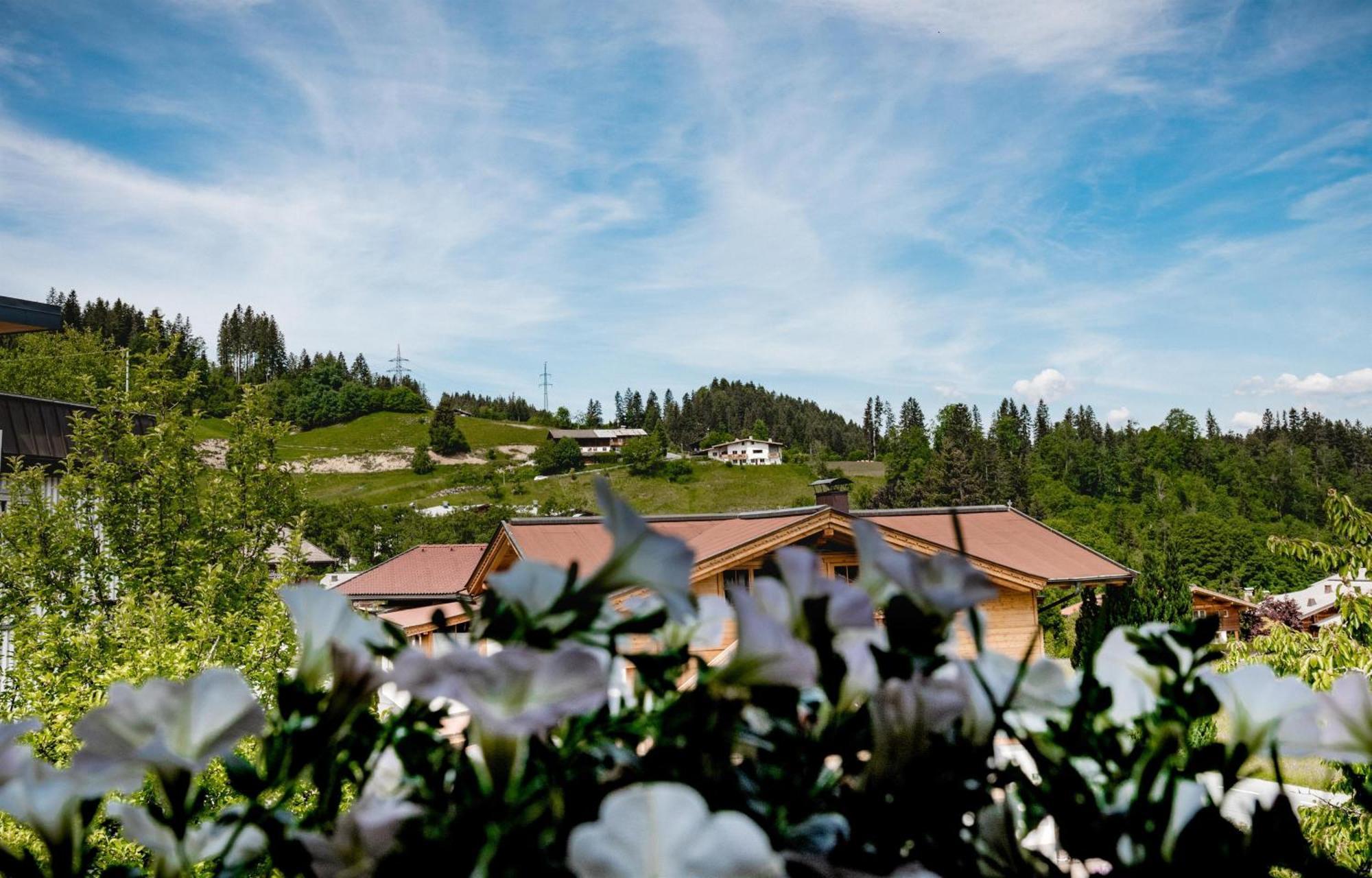 דירות אלמאו Haus Alpin מראה חיצוני תמונה